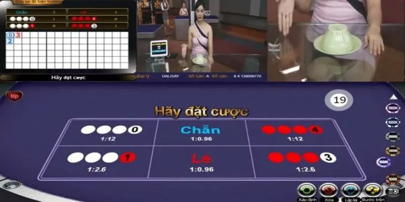 Chi tiết các cửa đặt trong cách chơi xóc đĩa trực tuyến