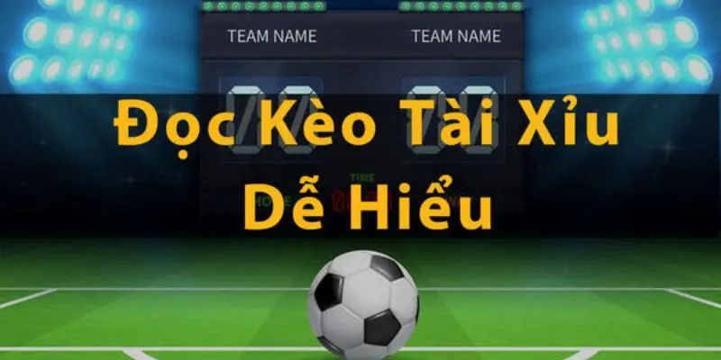 Cách xem kèo tài xỉu qua các tỷ lệ phổ biến nhất