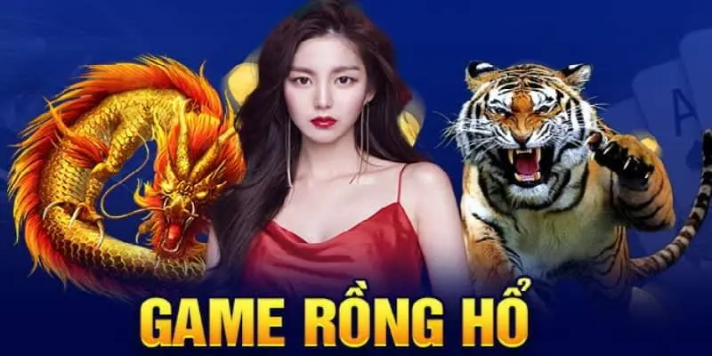 Mẹo chơi rồng hổ và những khái niệm cốt lõi cần nắm vững